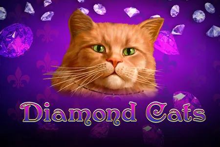 Diamond Cats